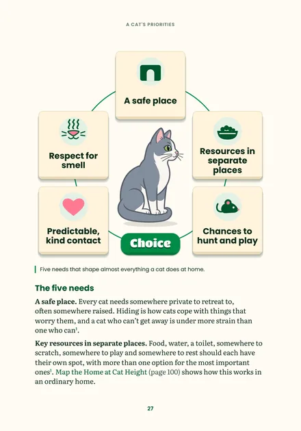 Page 27: the five things every cat needs, a safe place, separate resources, play, kind contact and respect for smell
