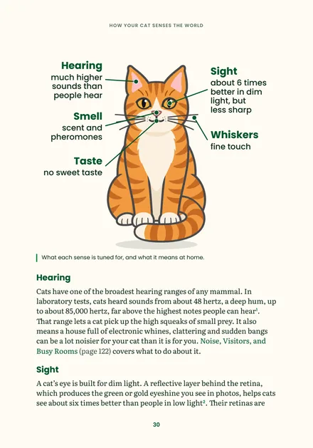 Page 30: an illustrated orange tabby showing how cats hear, see, smell, taste and use their whiskers